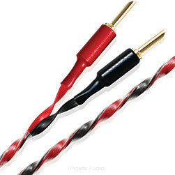 WireWorld